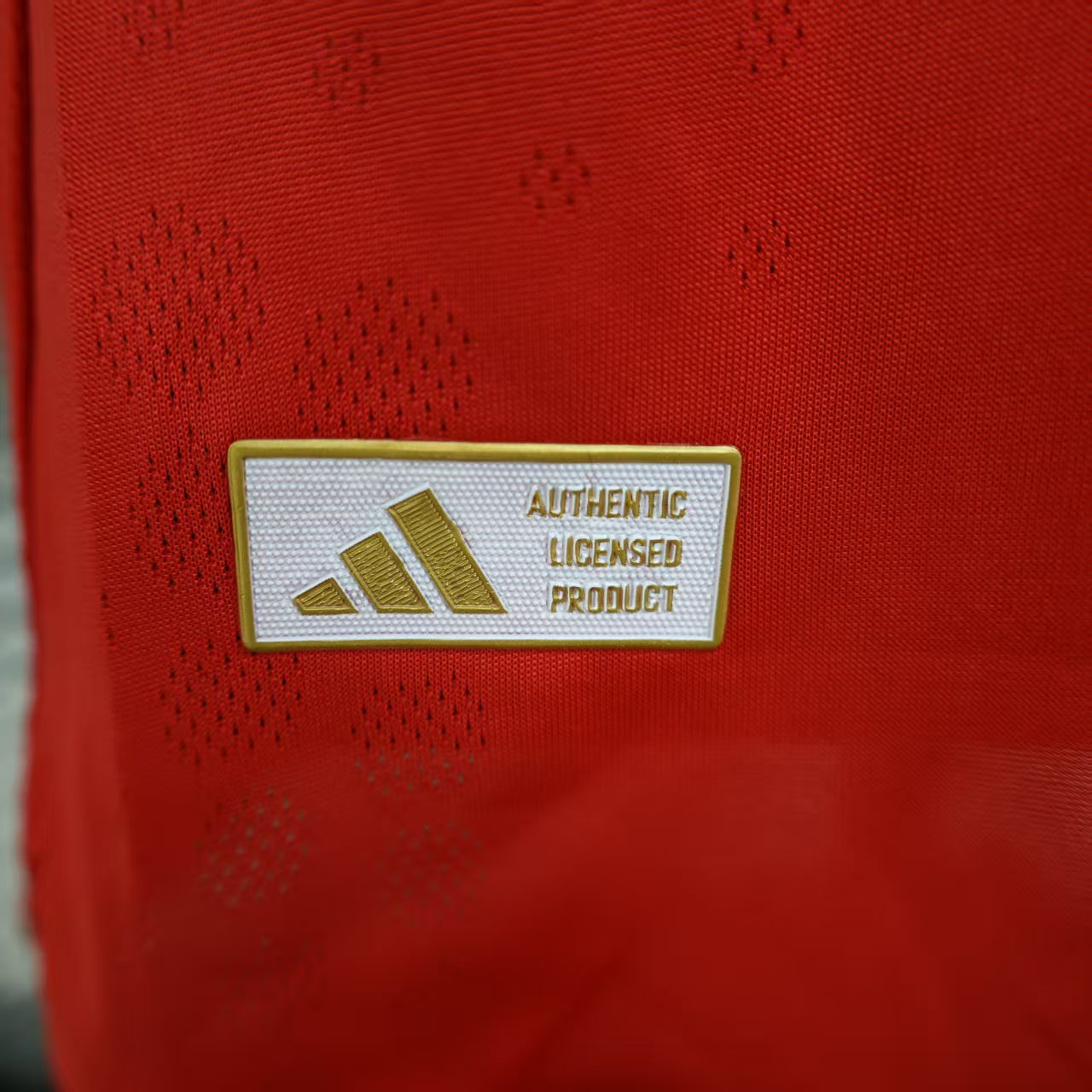 SL Benfica Jersey Home 25/26 - Player version