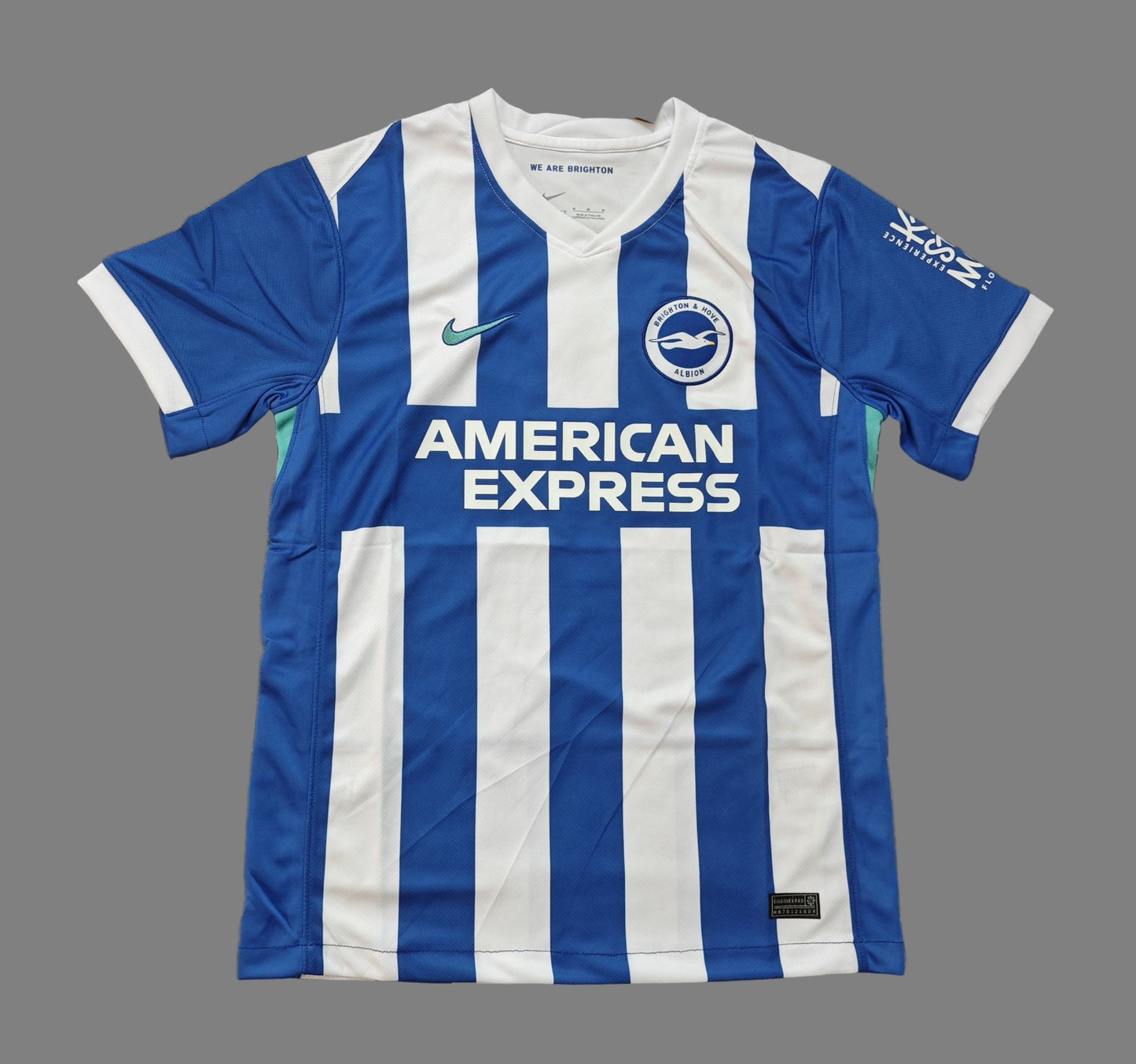 Brighton & Hove Albion Jersey Home