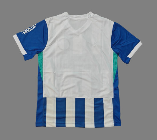 Brighton & Hove Albion Jersey Home